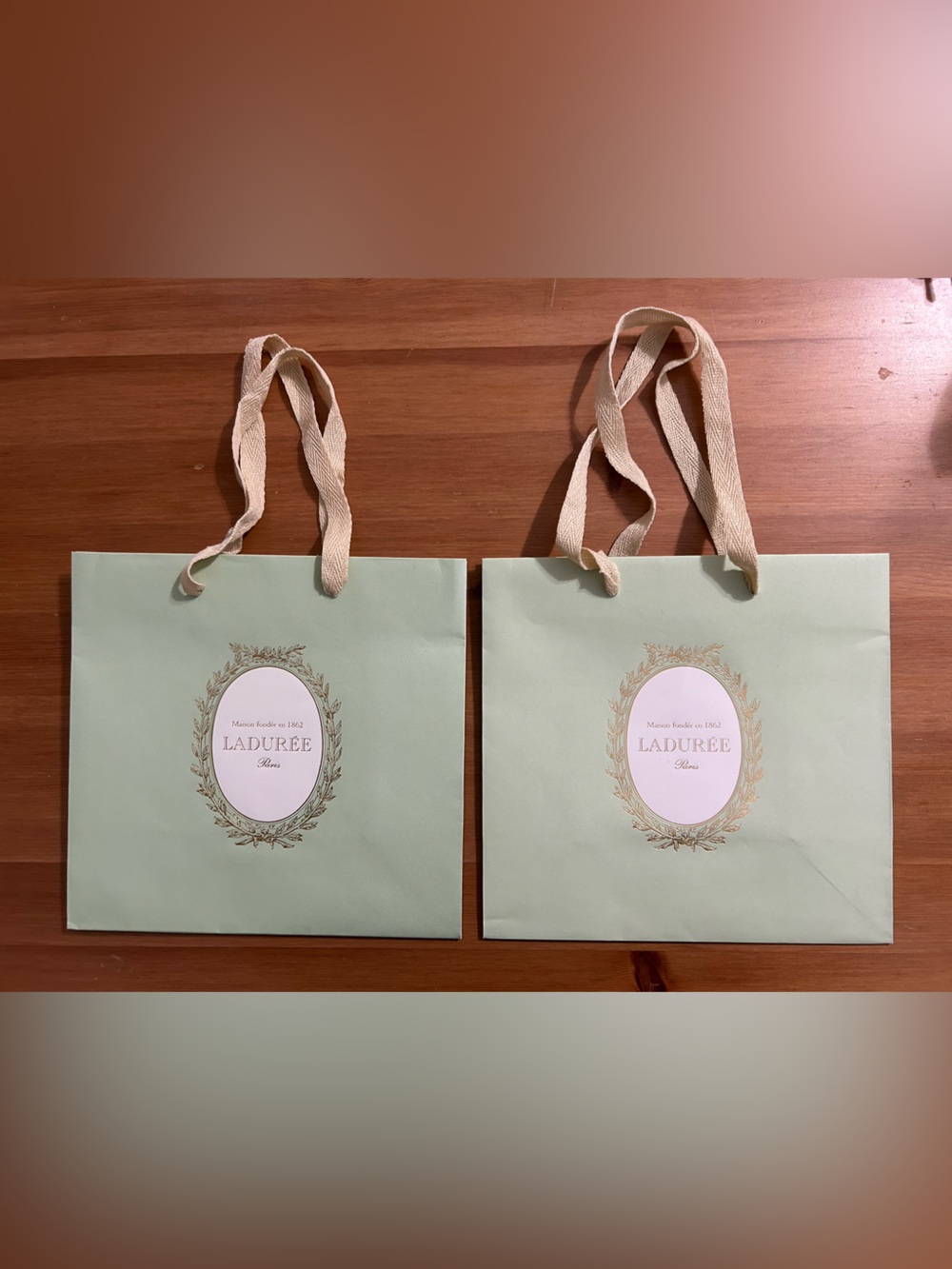 Laduree medium shopping gift bag set of 2